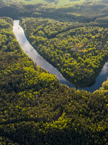 Río serpenteando en la selva amazónica